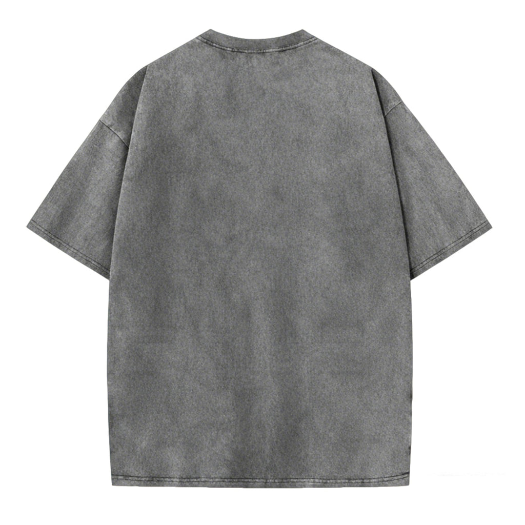 Boiling Frog Funny Graphic Washed T-shirt